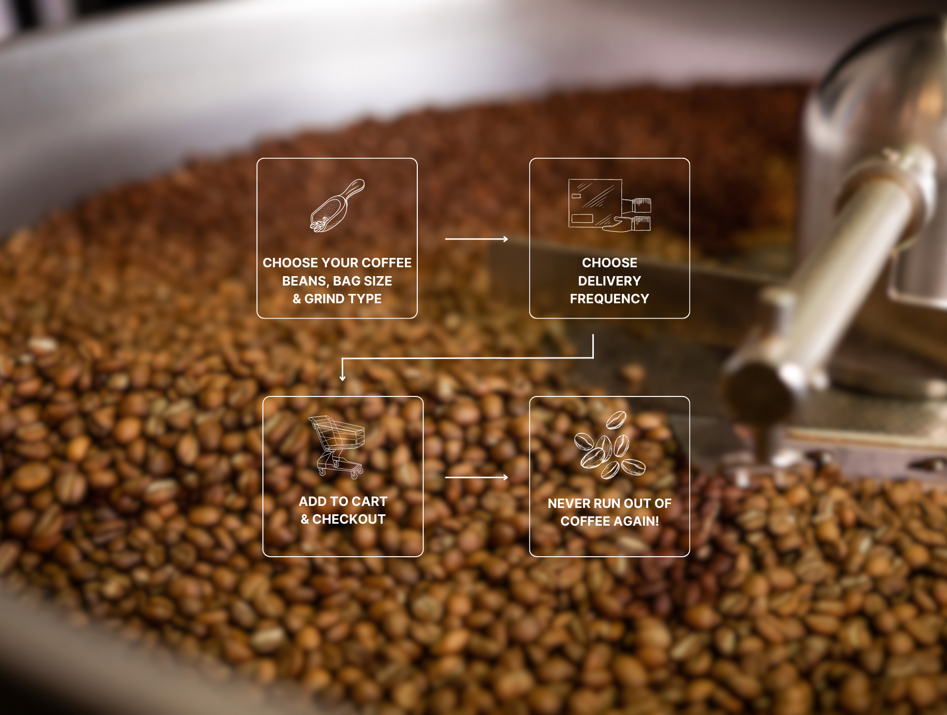 Close-up of meticulously sourced single origin coffee beans